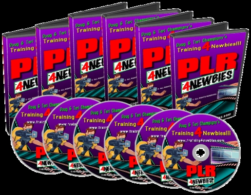 Product picture PLR for newbies video series - make money from home